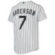 Youth Chicago White Sox Tim Anderson Nike White Alternate Replica Player Jersey