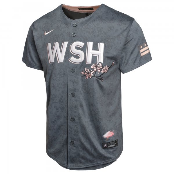 Youth Washington Nationals  Nike Charcoal City Connect Limited Jersey