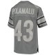 Youth Pittsburgh Steelers Troy Polamalu Mitchell & Ness Charcoal 2005 Retired Player Metal Replica Jersey