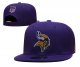 Minnesota Vikings Purple Cap