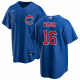 Men's Chicago Cubs #16 Patrick Wisdom Nike Alternate Jersey